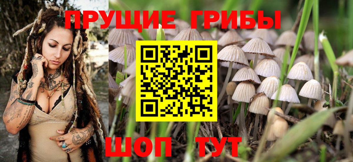 Дивногорск  цена   Вход с VPN  Псилоцибиновые грибы Magic Shrooms 