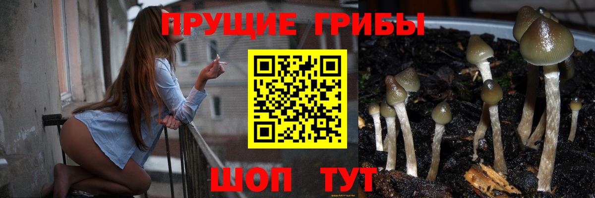 Псилоцибиновые грибы Magic Shrooms Дивногорск